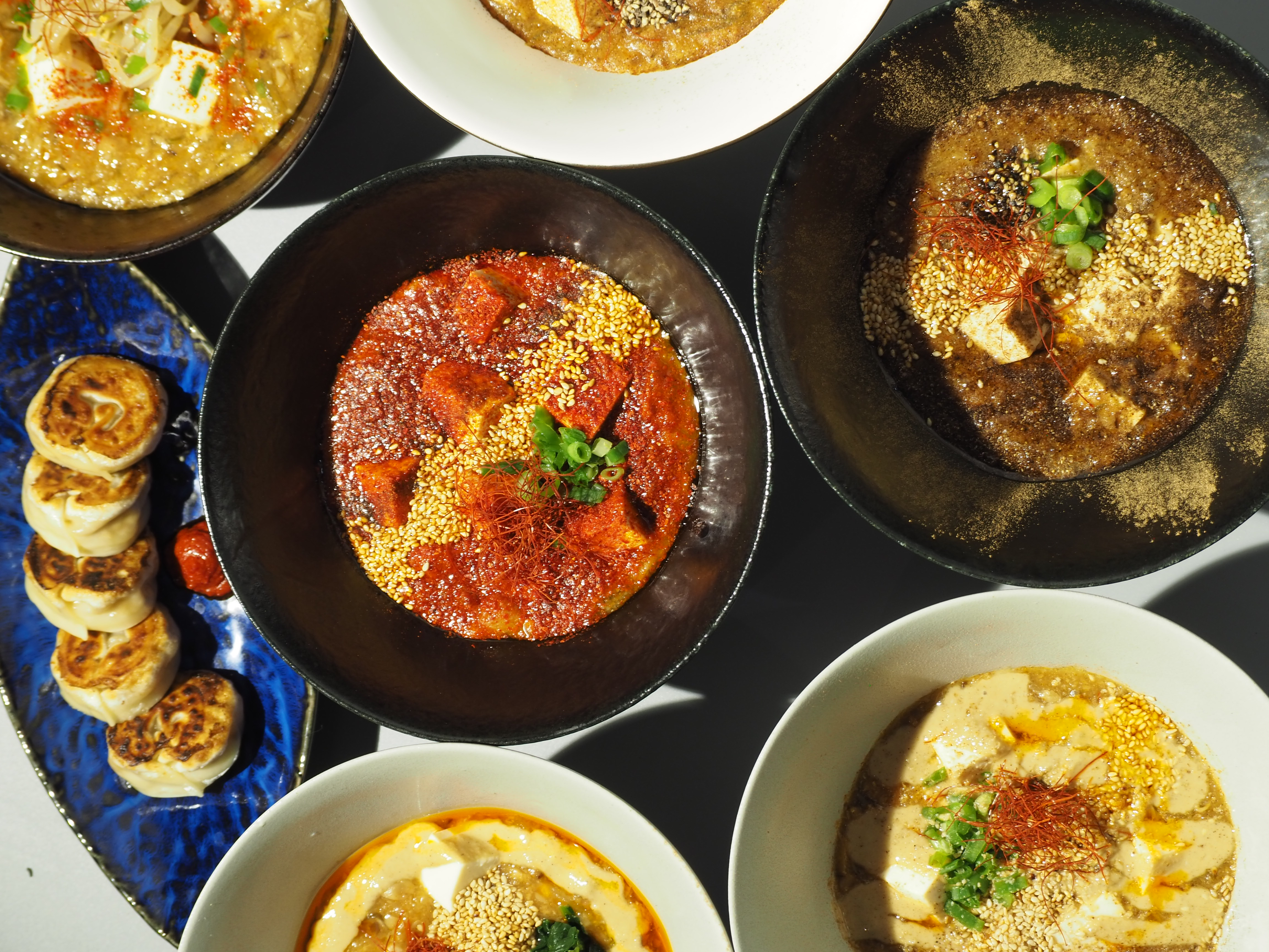 様々な種類の麻婆豆腐